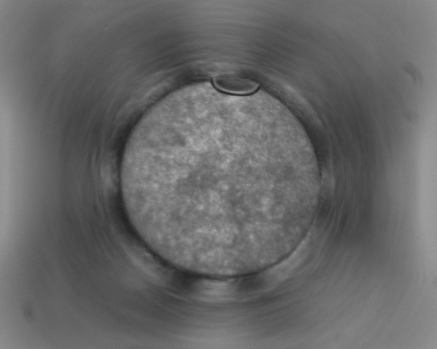 X0000113780170200910211213