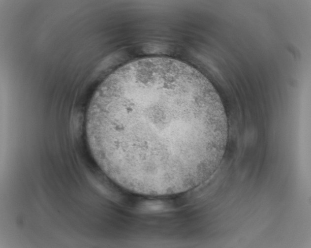 X0000113780171200910211213
