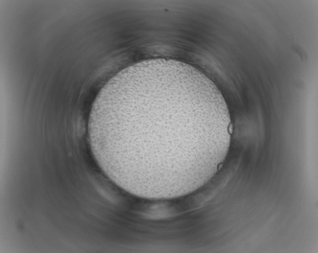 X0000113780173200910211213