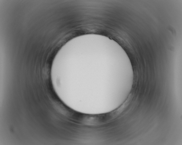 X0000113780174200910211213