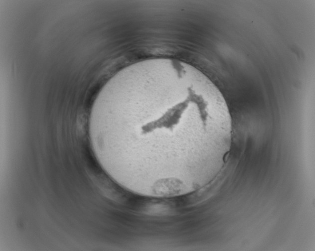 X0000113780175200910211213