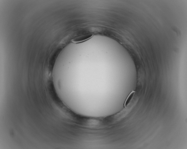X0000113780176200910211213