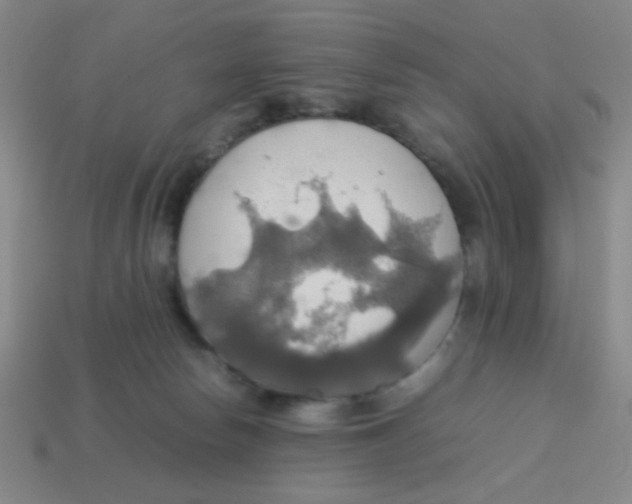 X0000113780178200910211213