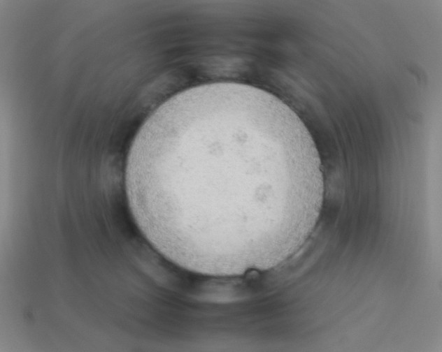 X0000113780179200910211213