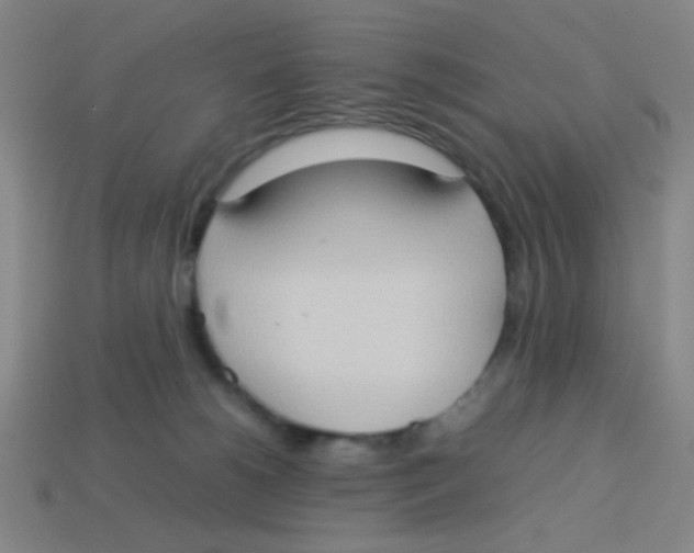 X0000113780180200910211213