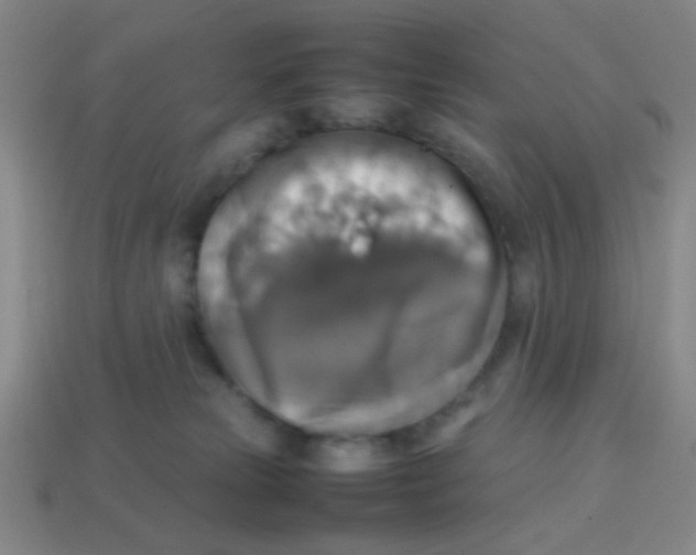 X0000113780181200910211213