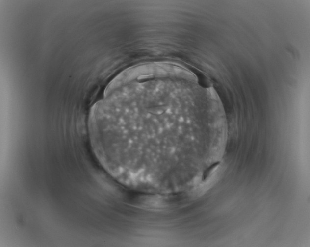 X0000113780182200910211213