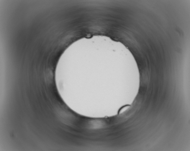X0000113780183200910211213