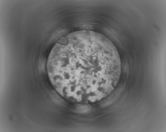 X0000113780185200910211213
