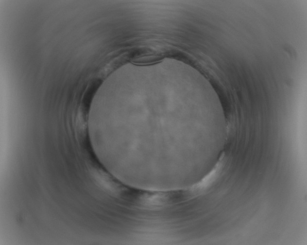 X0000113780186200910211213