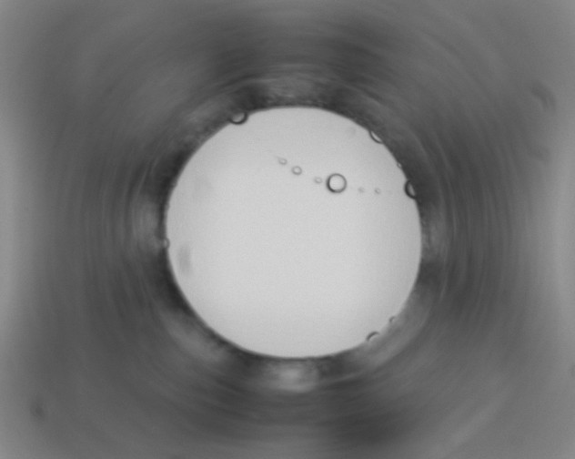 X0000113780187200910211213