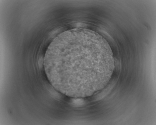X0000113780189200910211214