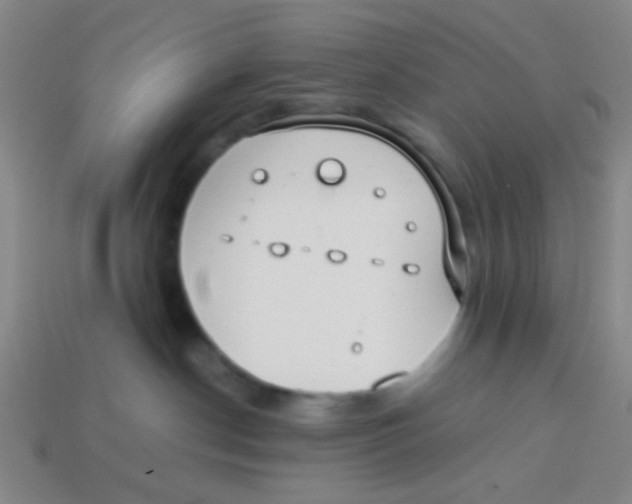 X0000113780190200910211214