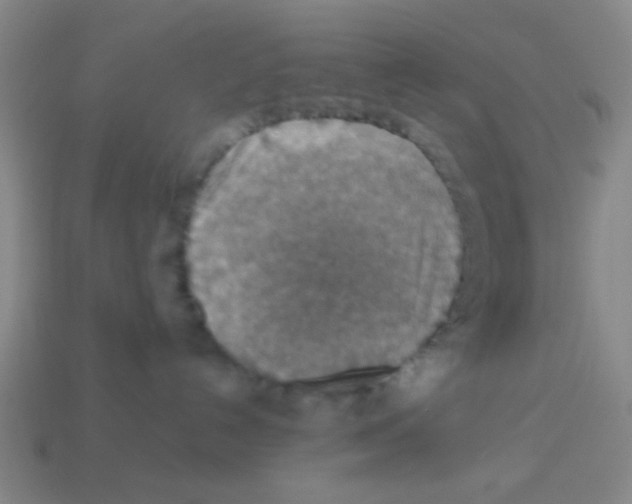X0000113780192200910211214