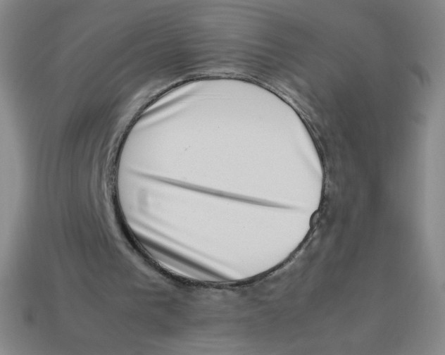 X0000113780193200910211213
