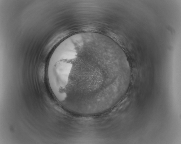 X0000113780194200910211213