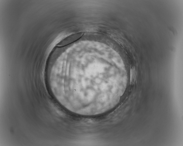 X0000113780195200910211213