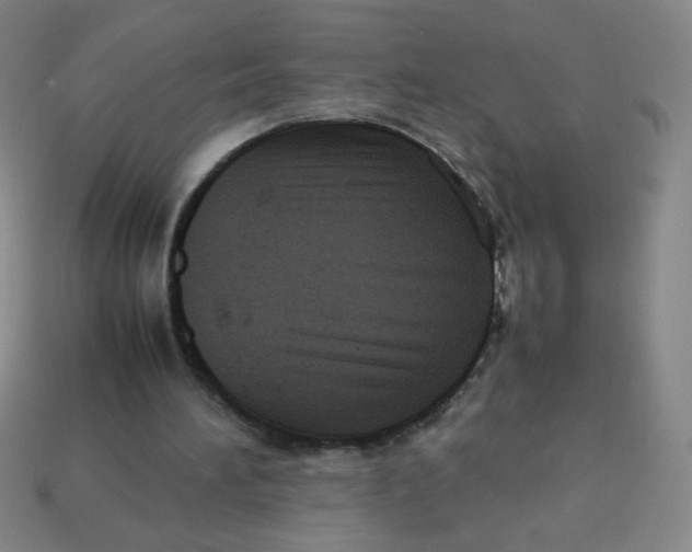X0000113780196200910211213