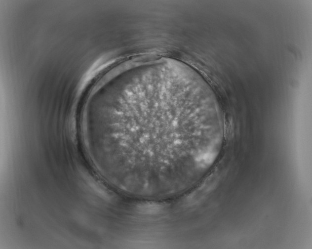 X0000113780198200910211213