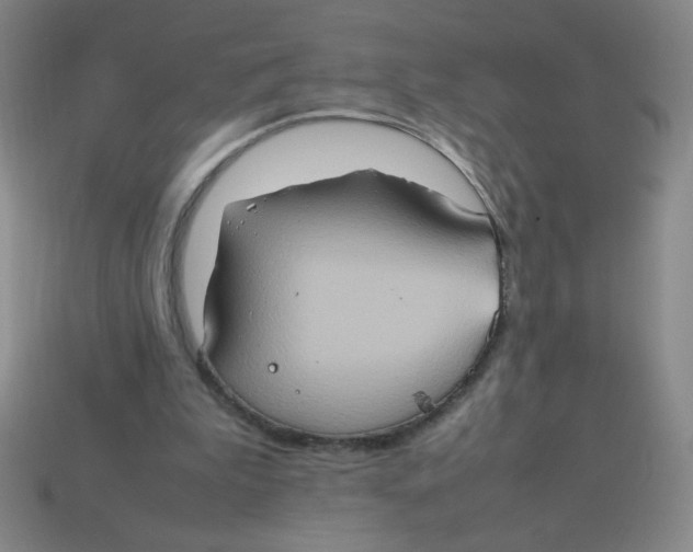 X0000113780199200910211213