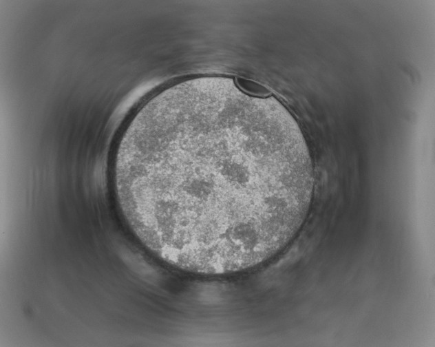 X0000113780200200910211213