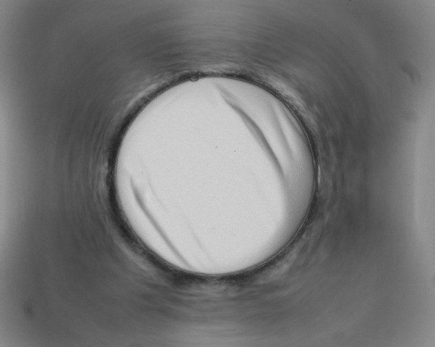 X0000113780201200910211213