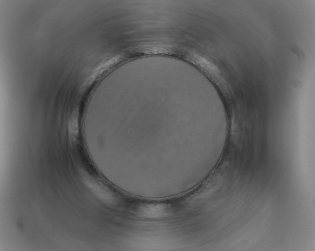 X0000113780202200910211213
