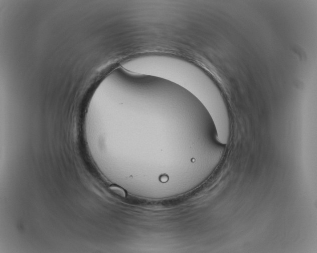 X0000113780203200910211213