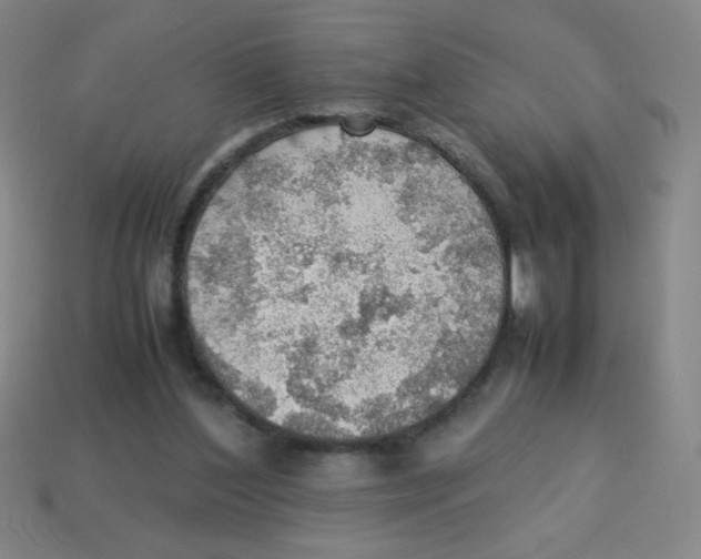 X0000113780204200910211213