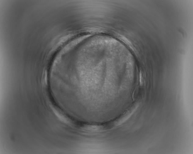 X0000113780205200910211213