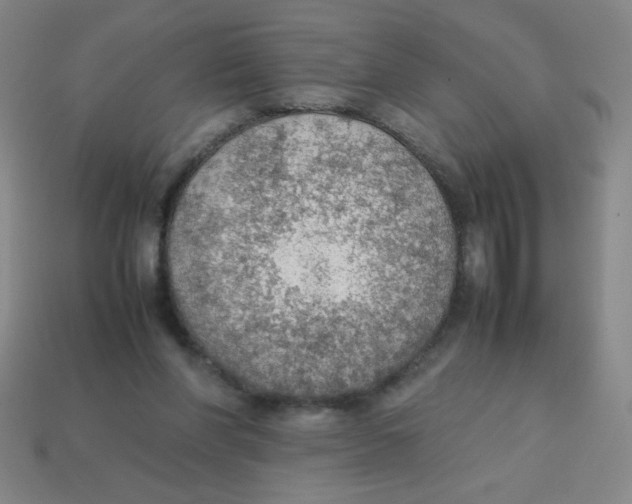 X0000113780206200910211213