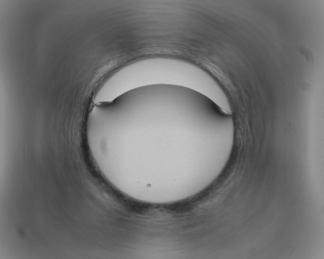 X0000113780207200910211213