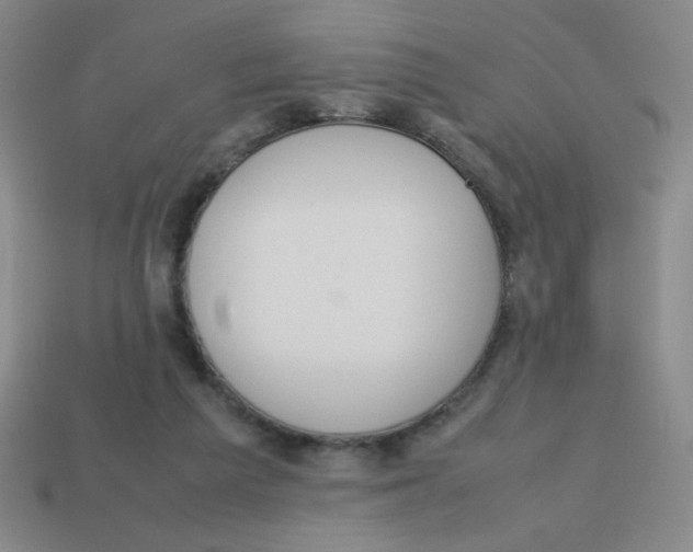 X0000113780209200910211213