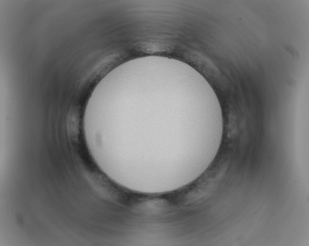 X0000113780210200910211213