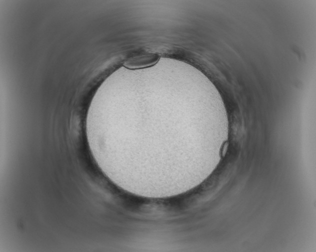 X0000113780211200910211213