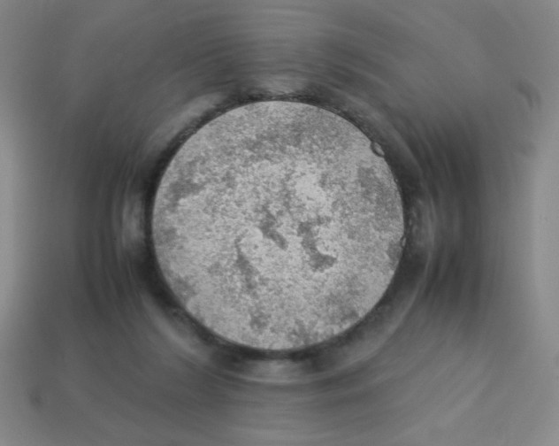 X0000113780212200910211213