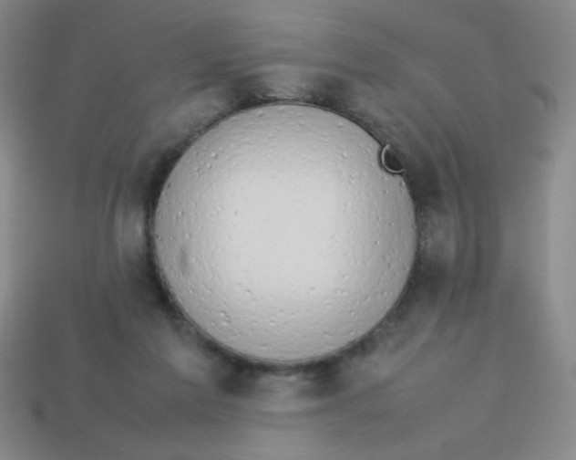 X0000113780213200910211212