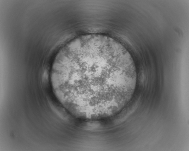 X0000113780214200910211212