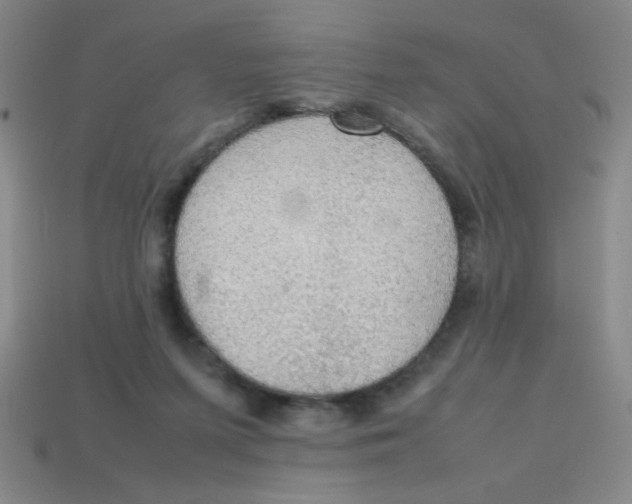 X0000113780215200910211212