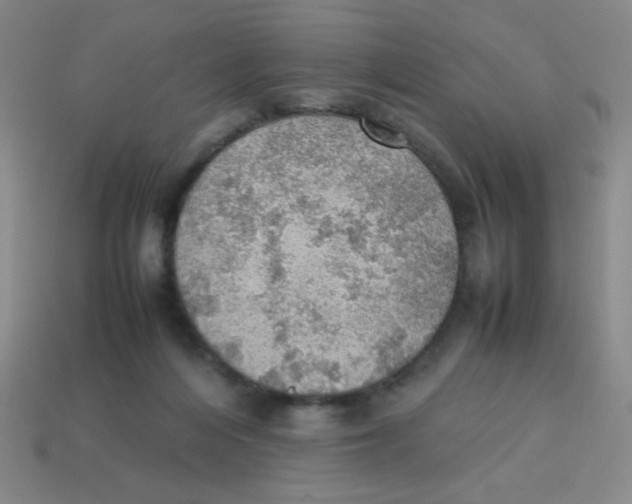 X0000113780216200910211212