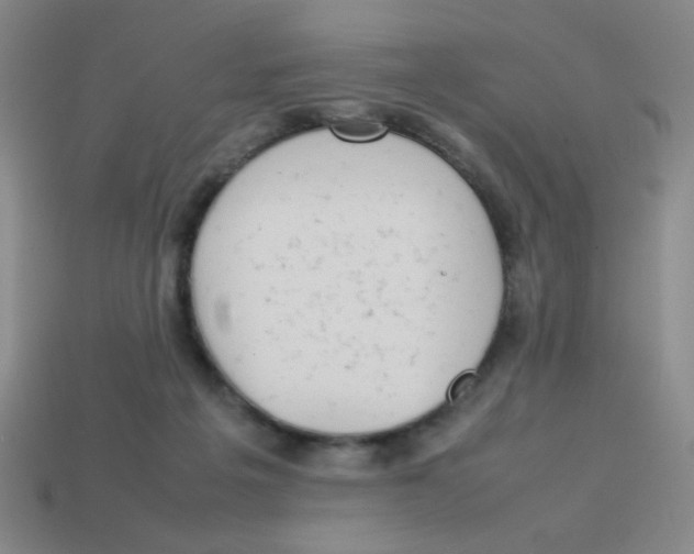 X0000113780217200910211212