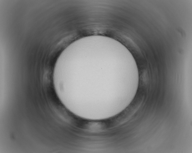 X0000113780218200910211212