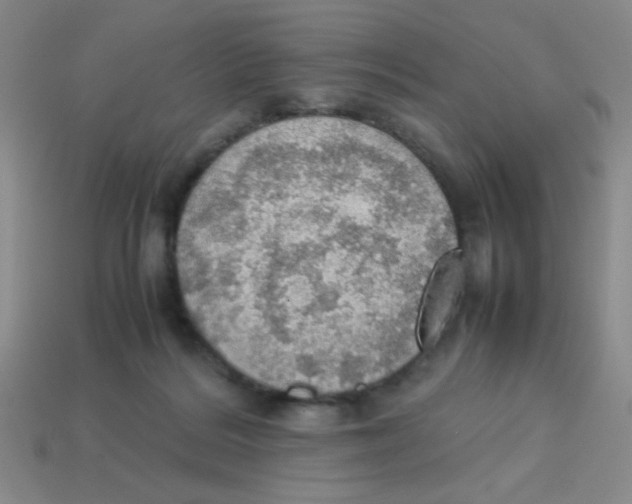 X0000113780220200910211212