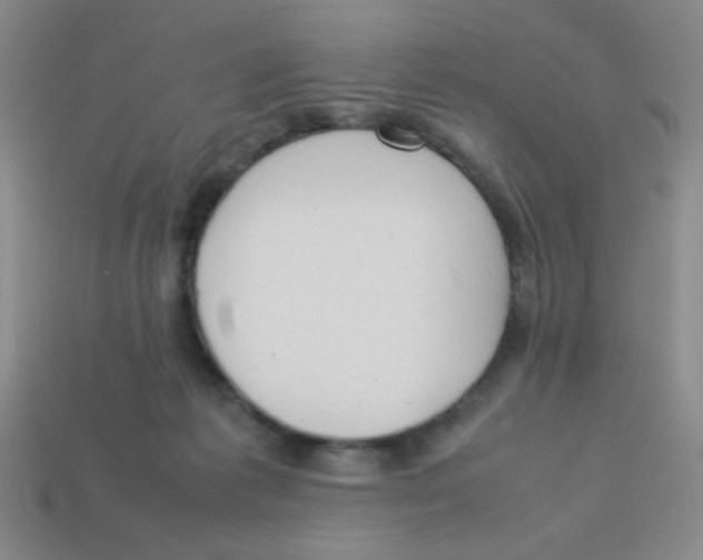 X0000113780221200910211212