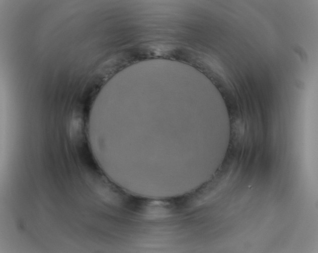 X0000113780222200910211212