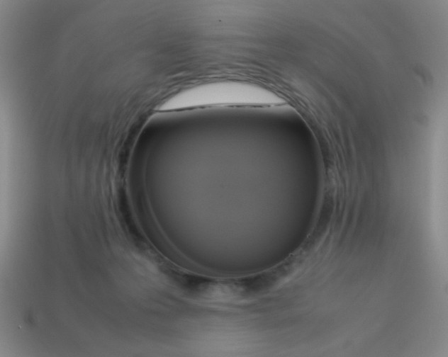 X0000113780223200910211212