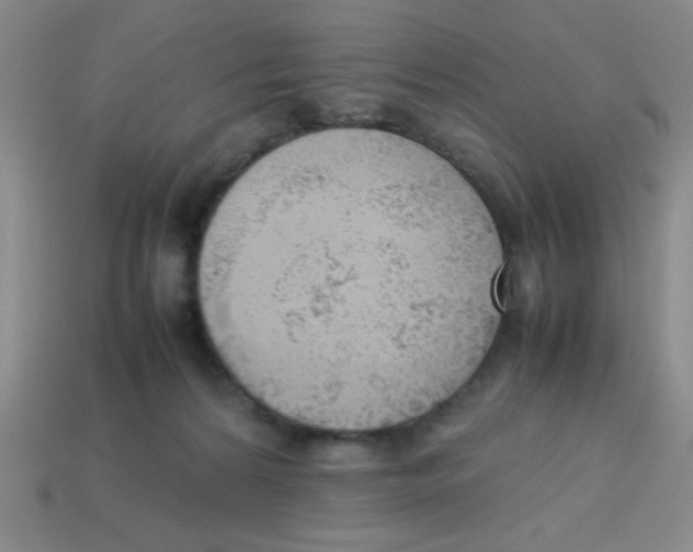 X0000113780224200910211212