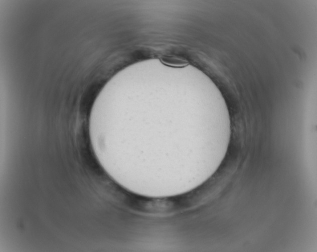 X0000113780225200910211212