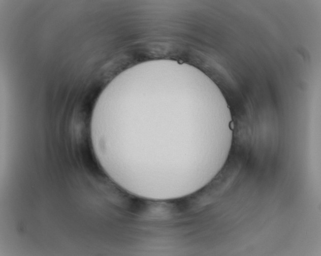 X0000113780226200910211212