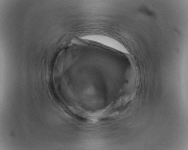 X0000113780227200910211212
